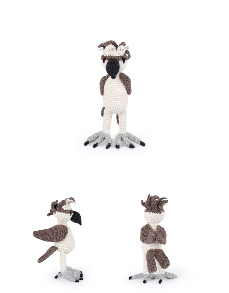Struan the Osprey
